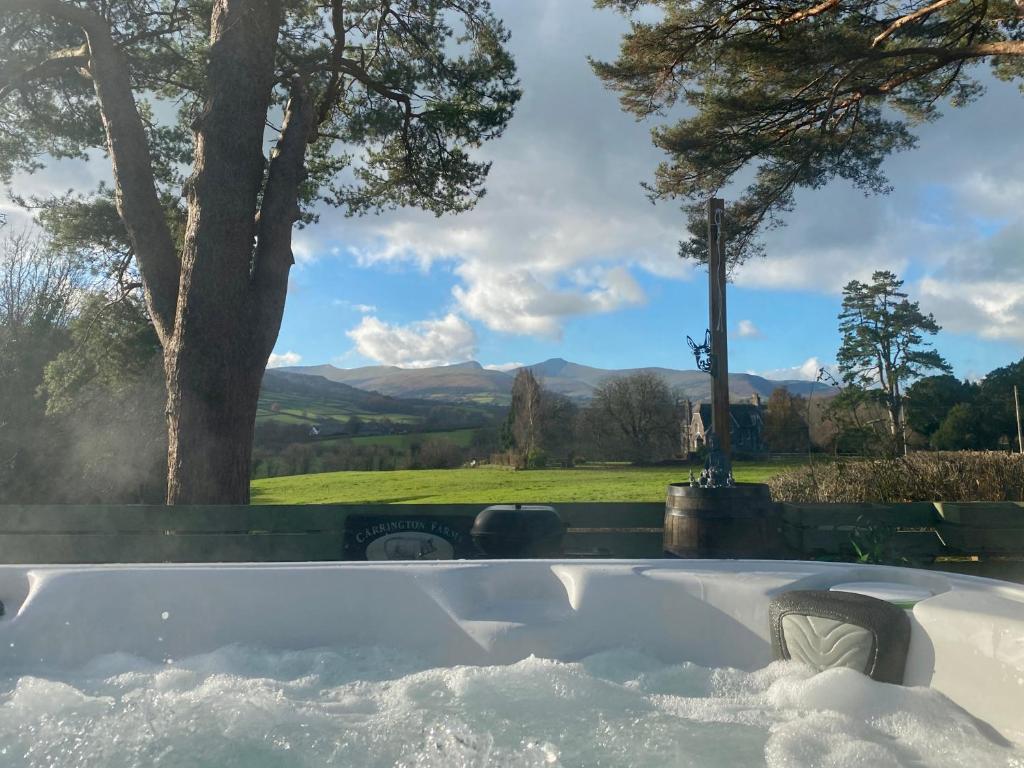 uma banheira com vista para uma árvore em Mountain View Cottage, Hot Tub , Stunning Views em Llanhamlach