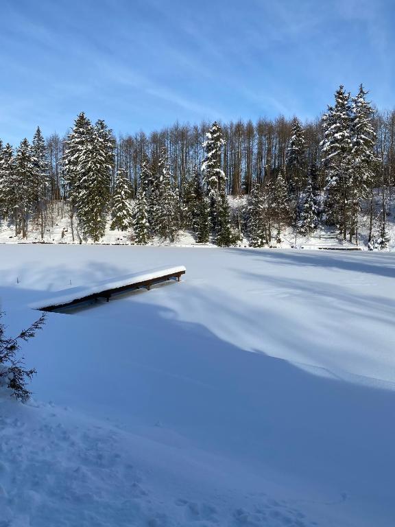 Das Waldseechalet Traumhafter Waldseeblick - großzügige Wohnung - Infrarotsauna v zimě