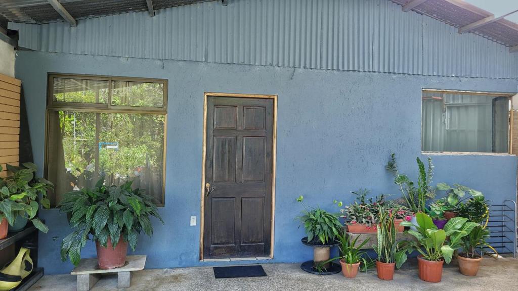 un edificio azul con puerta y macetas en Monteverde River House, en Monteverde