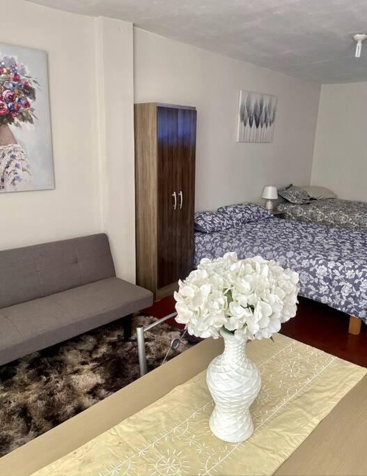 airbnb lima farfalla, Lima (updated prices 2024)