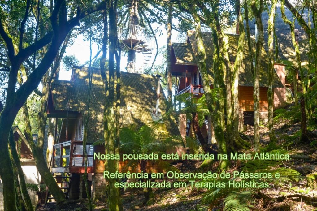 una casa en el bosque con árboles en Recanto da Mata Pousada, en São Francisco de Paula