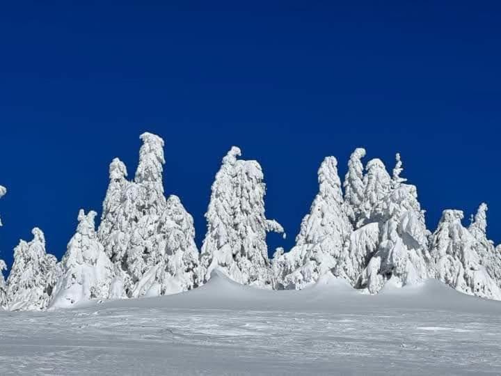 Ski hotel DOBRODOLAC v zimě