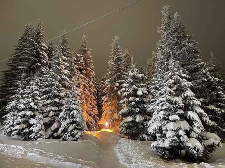 Ski hotel DOBRODOLAC v zimě