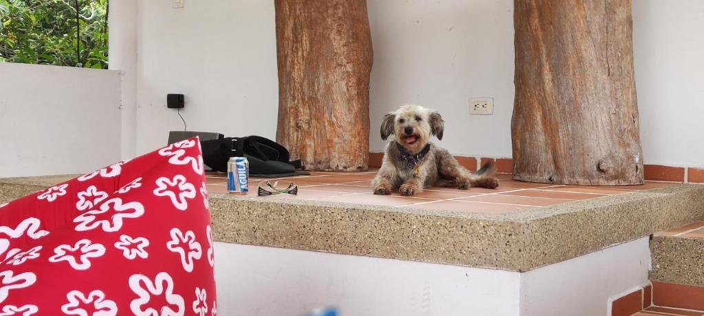 Galería fotográfica de Hotel Campestre Mastranto en Villavicencio