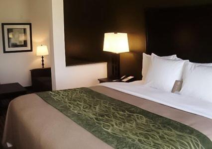 Comfort Inn & Suites Woodward - Suite Met Kingsize Bed - Niet-roken