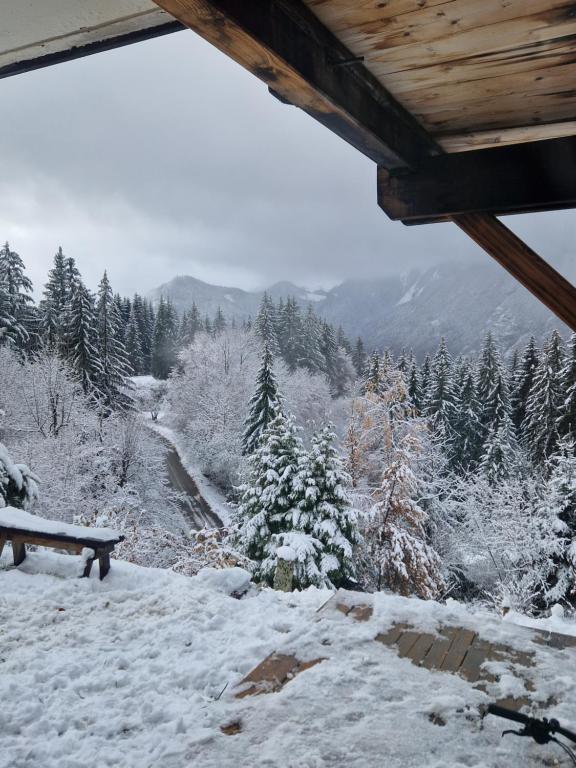 Alpine 1 bed Chalet with beautiful views v zimě