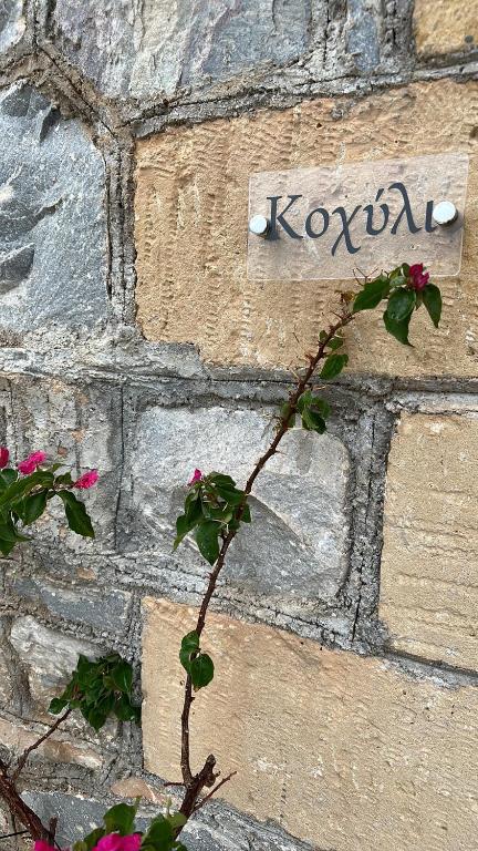 Fotografie z fotogalerie ubytování Κοχύλι v destinaci Kotrónion