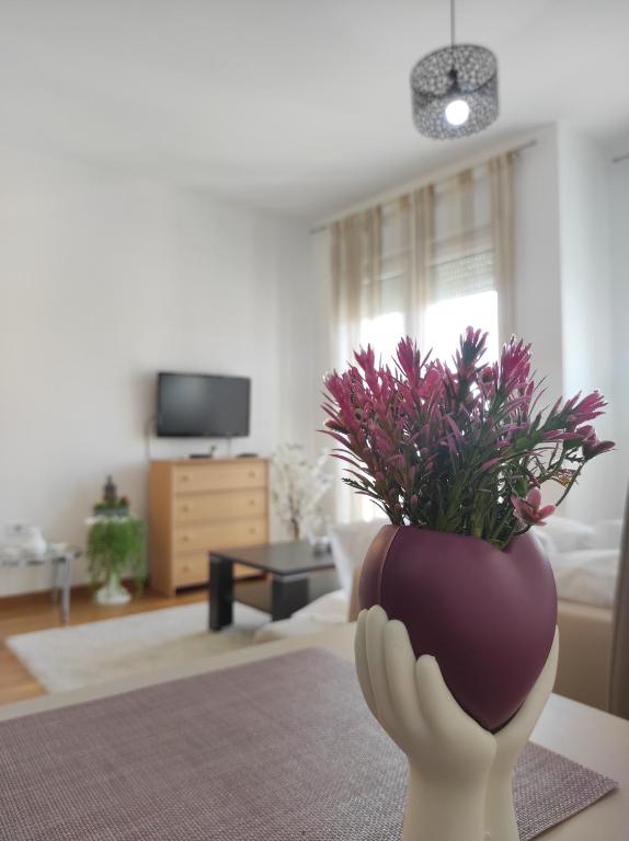 a hand holding a vase with a plant in it at Allurian Apartment - City kvart in Podgorica