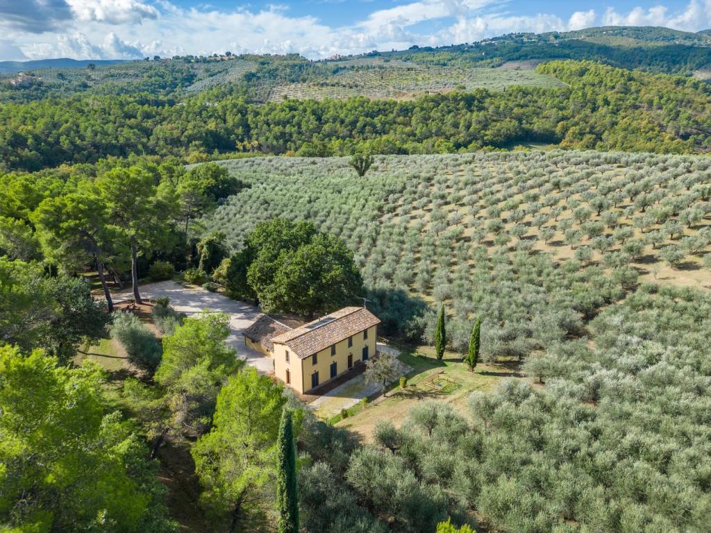 an aerial view of a house in a field of trees at Agriturismo I Getsemani in Bevagna