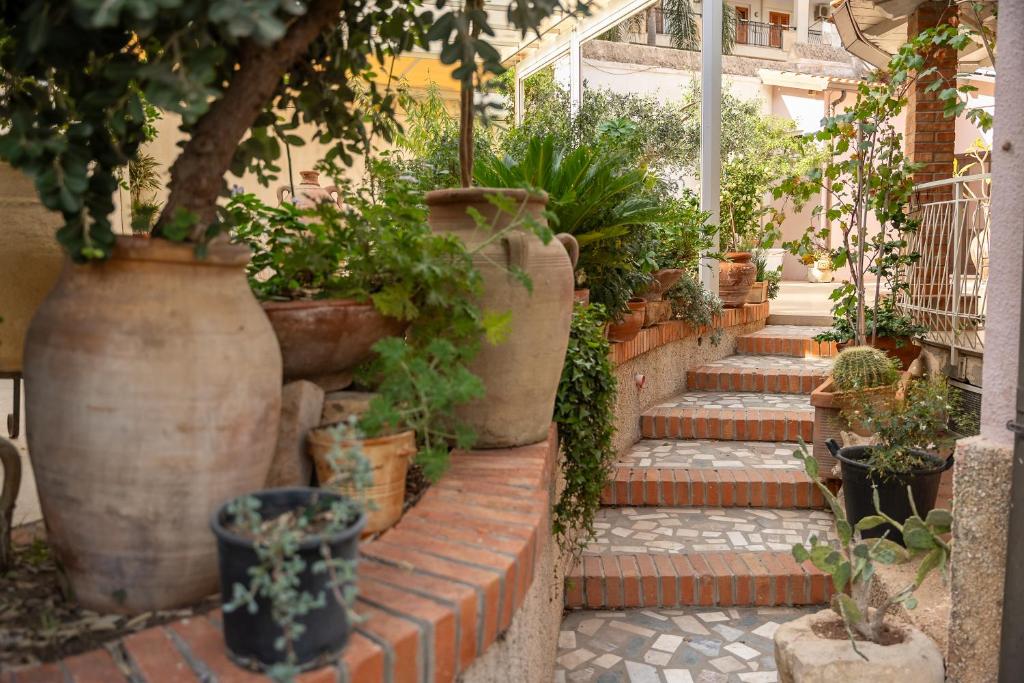Zahrada ubytování B&B Cumpari Turiddu