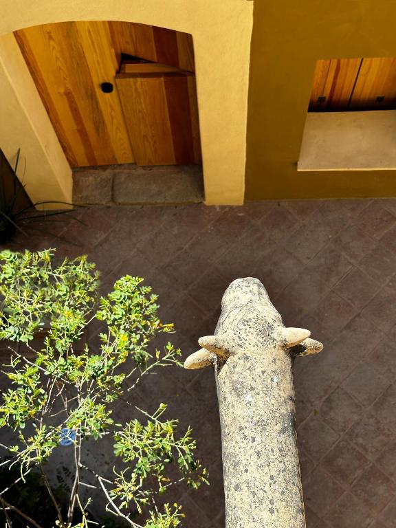 Fotografie z fotogalerie ubytování CASA PENUMBRA- Centro Oaxaca v destinaci Oaxaca