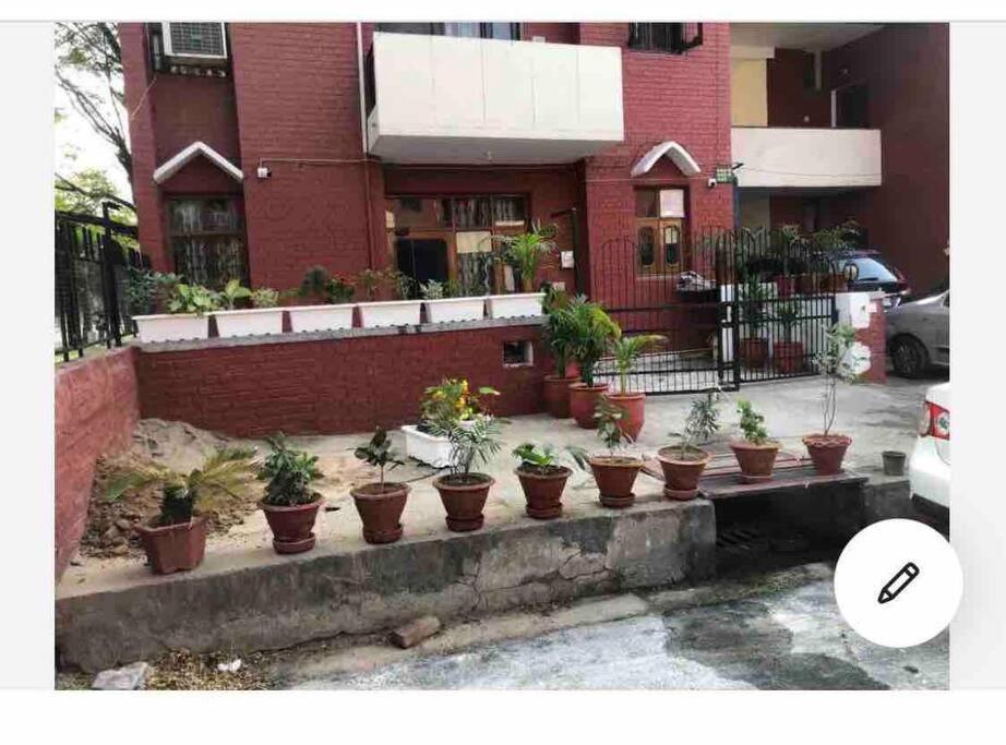 a group of potted plants in front of a building at Kohli-guest house in Chandīgarh