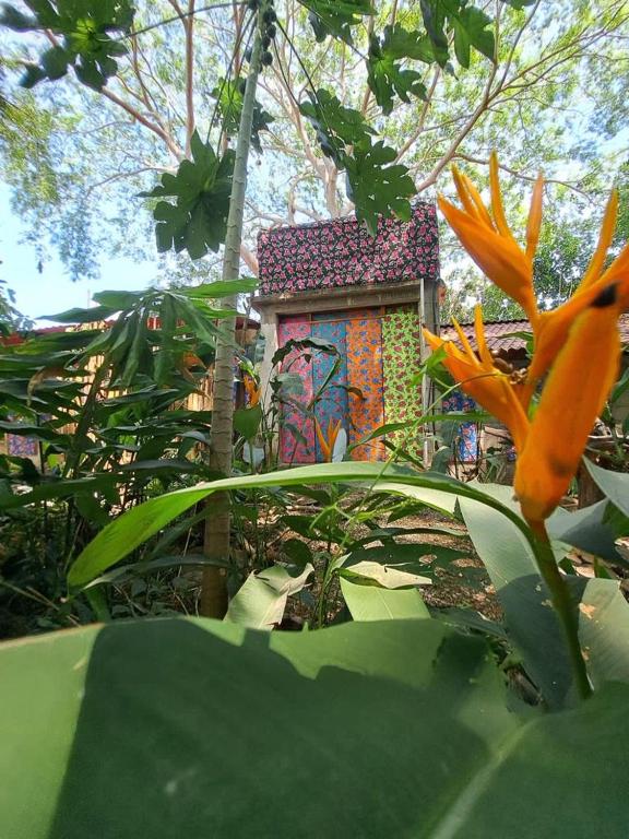 Giardino di Planta Glamp Farm
