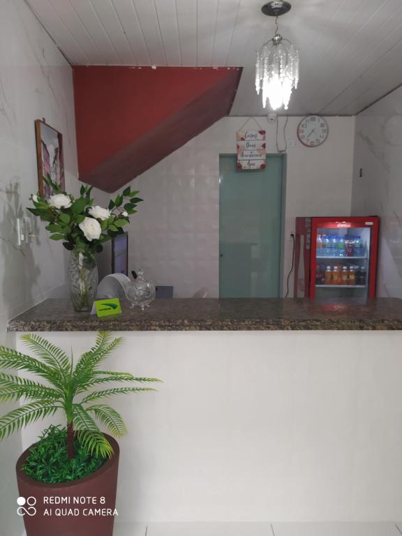 cysne hotel