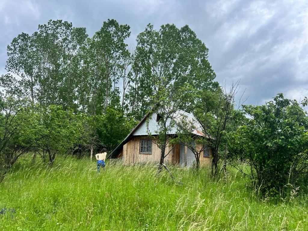 una casa vieja en un campo de hierba alta en Bulgaria Countryside House Tiny Villa Cottage by Mountains of Kazanlak en Kazanlŭk