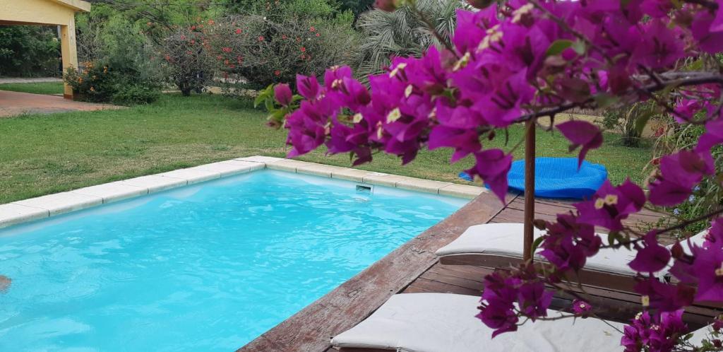 una piscina con 2 sillas y flores púrpuras en Chalet con piscina en San Luis, en San Luis