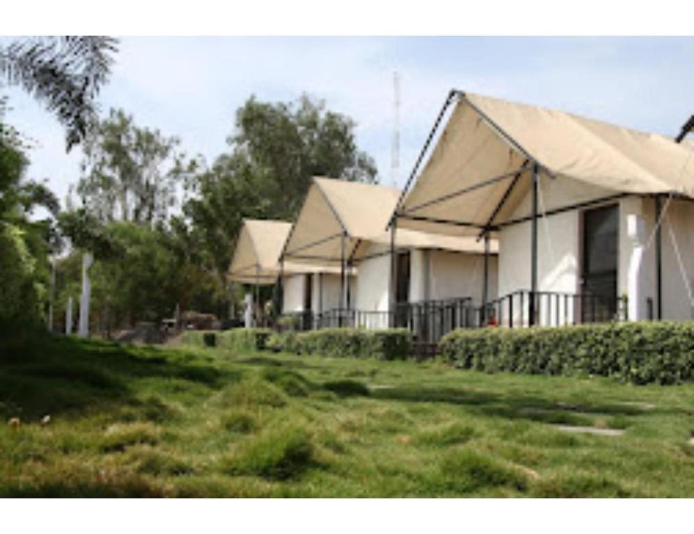 une rangée de maisons blanches avec une cour d'herbe dans l'établissement Shubham Resorts, Solapur, à Solapur