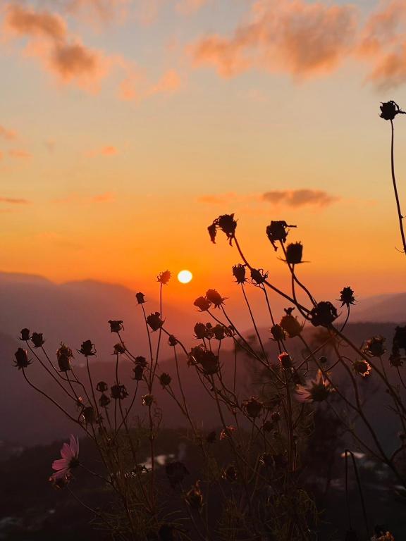 a sunset with a bunch of flowers in the foreground at Junyi Landscape Villa in Ren&#39;ai