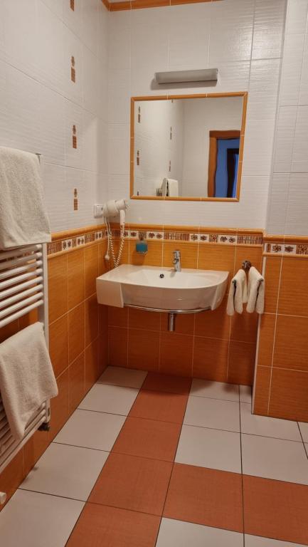 Koupelna v ubytování Pension Rondel