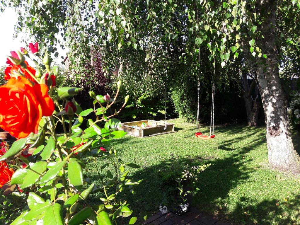 Ferienhaus Heimathafenにある庭