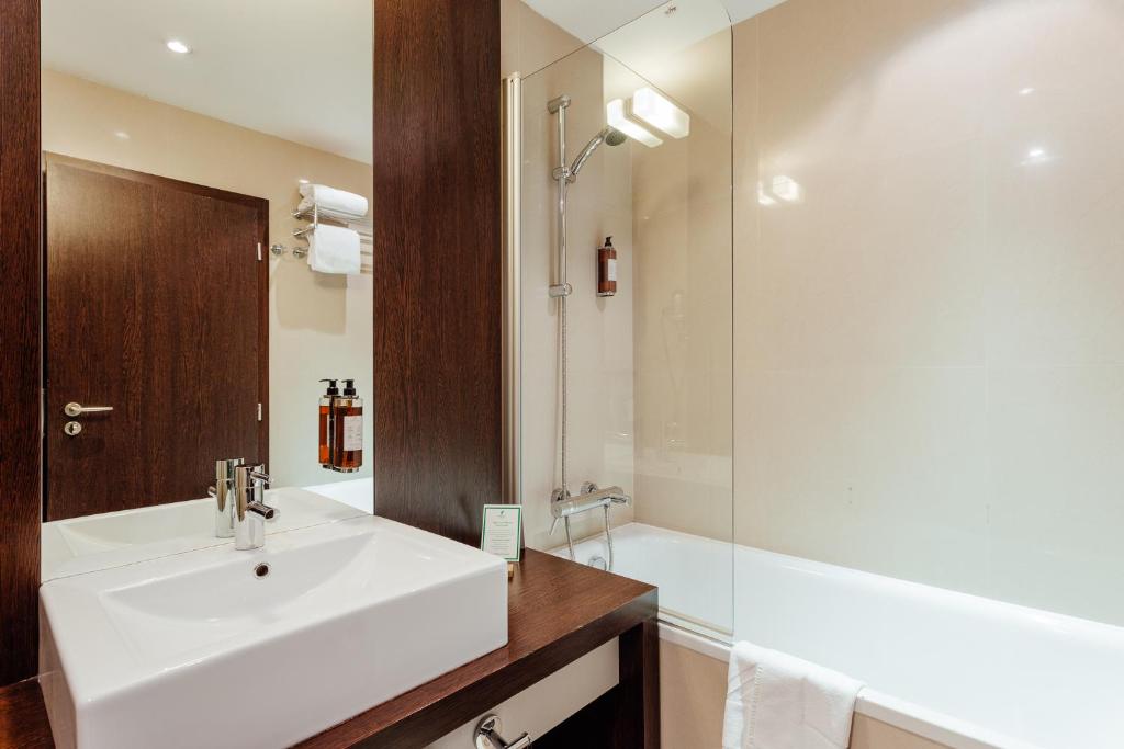 Holiday Inn Zilina, an IHG Hotel - King Room Met Uitzicht Op De Bergen