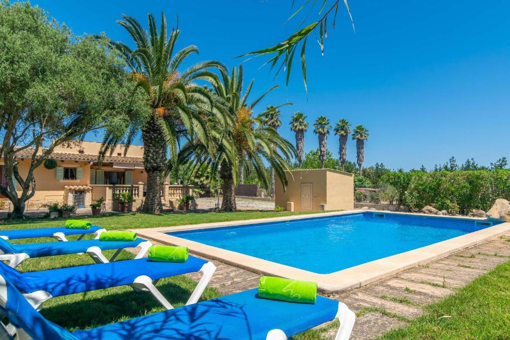 a pool with lounge chairs and palm trees at Es Garballons in Manacor