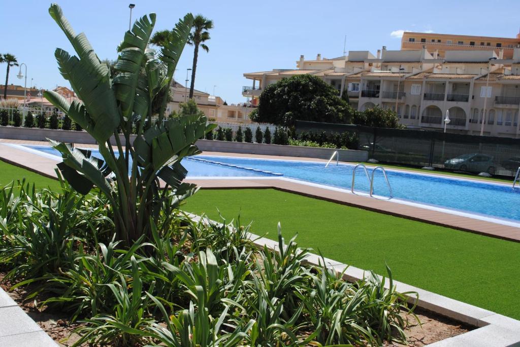 a swimming pool with a green lawn next to a building at la mata aqua nature in La Mata