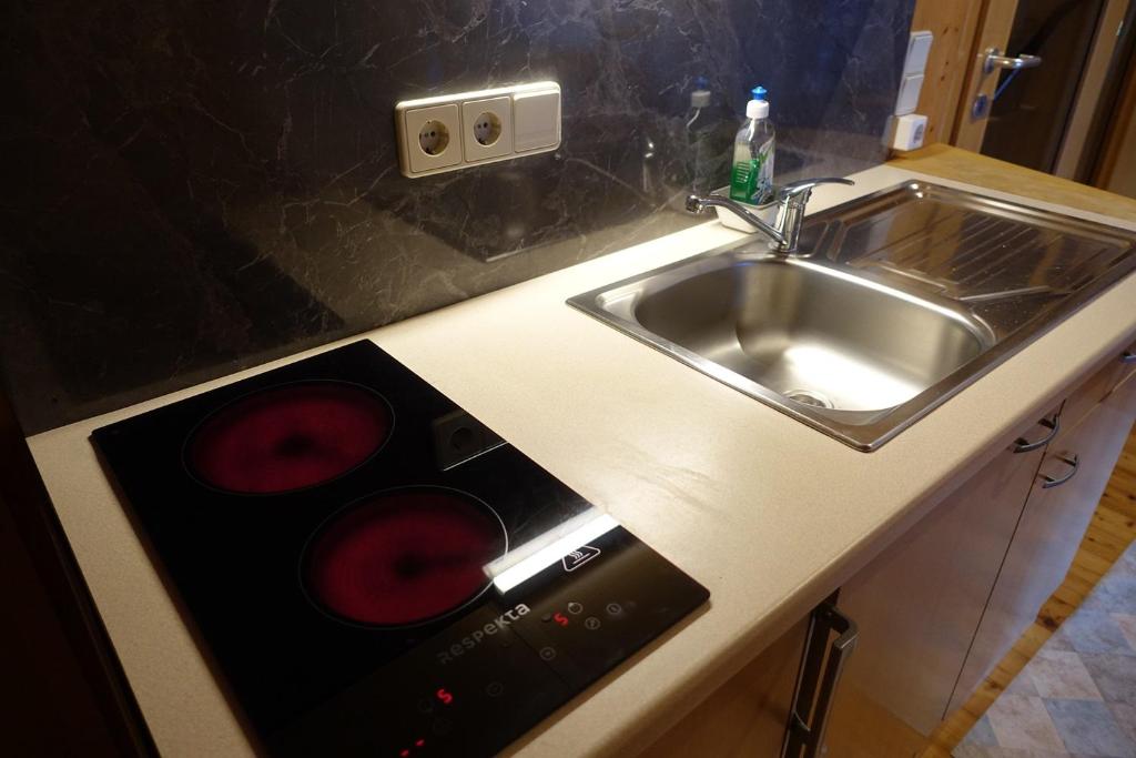 a kitchen counter with a sink and a microwave at Apartmentshaus Dual -1 in Lake Pressegg