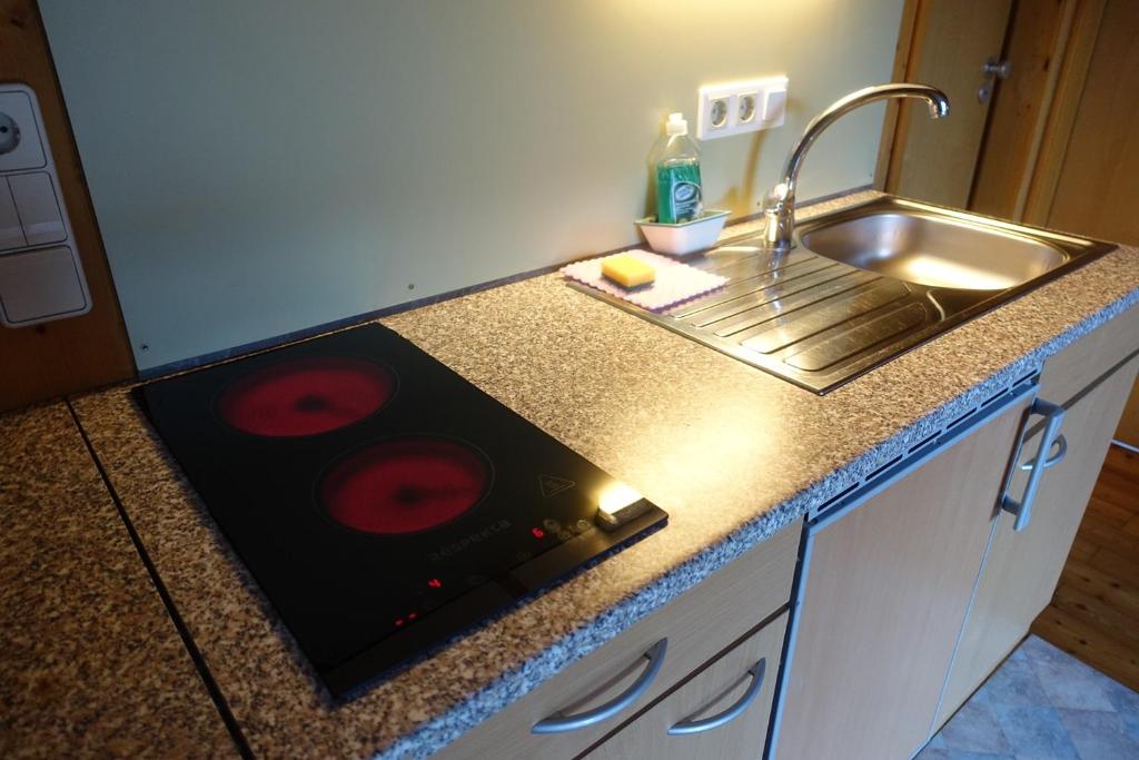 Kuchyň nebo kuchyňský kout v ubytování Apartmentshaus Dual -1