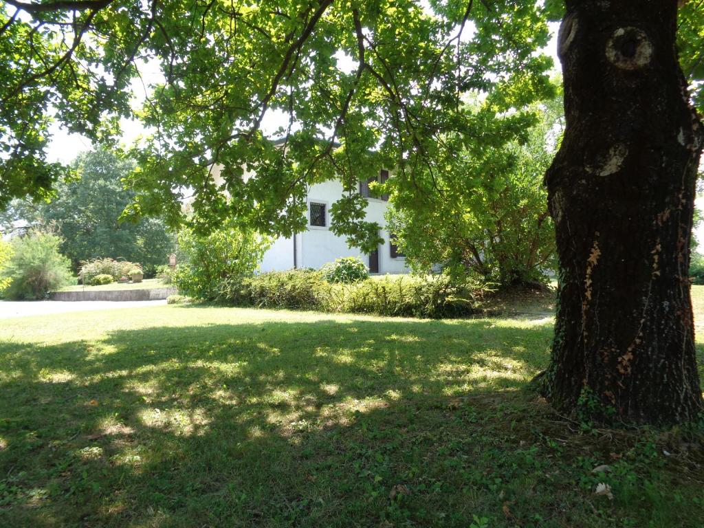 A garden outside B&B Casa Perini