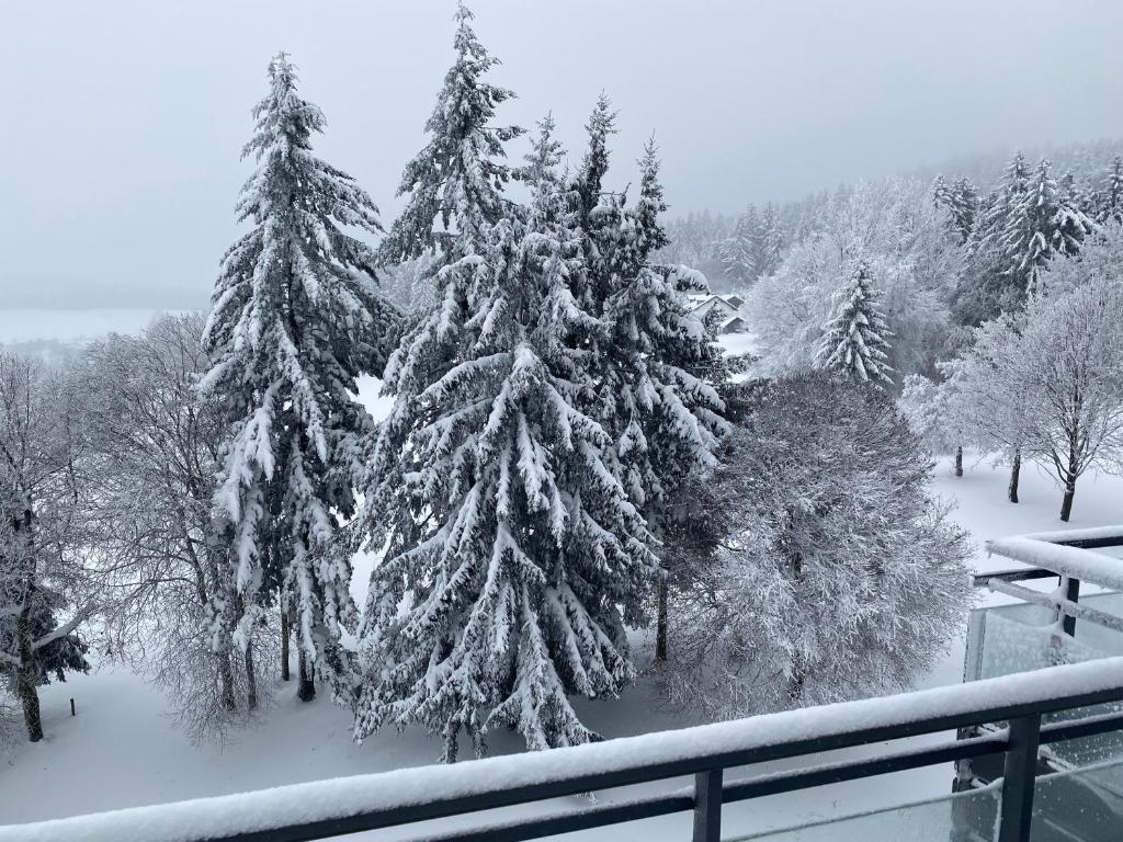 FeWo Panoramablick mit Pool und Sauna inklusive v zimě
