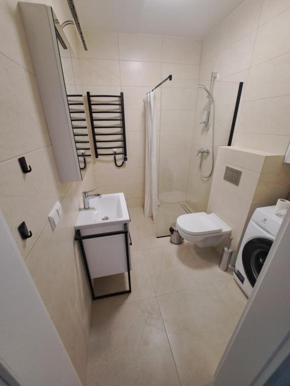 a bathroom with a sink and a toilet and a shower at 2 kambarių butas ramioje vietoje in Palanga