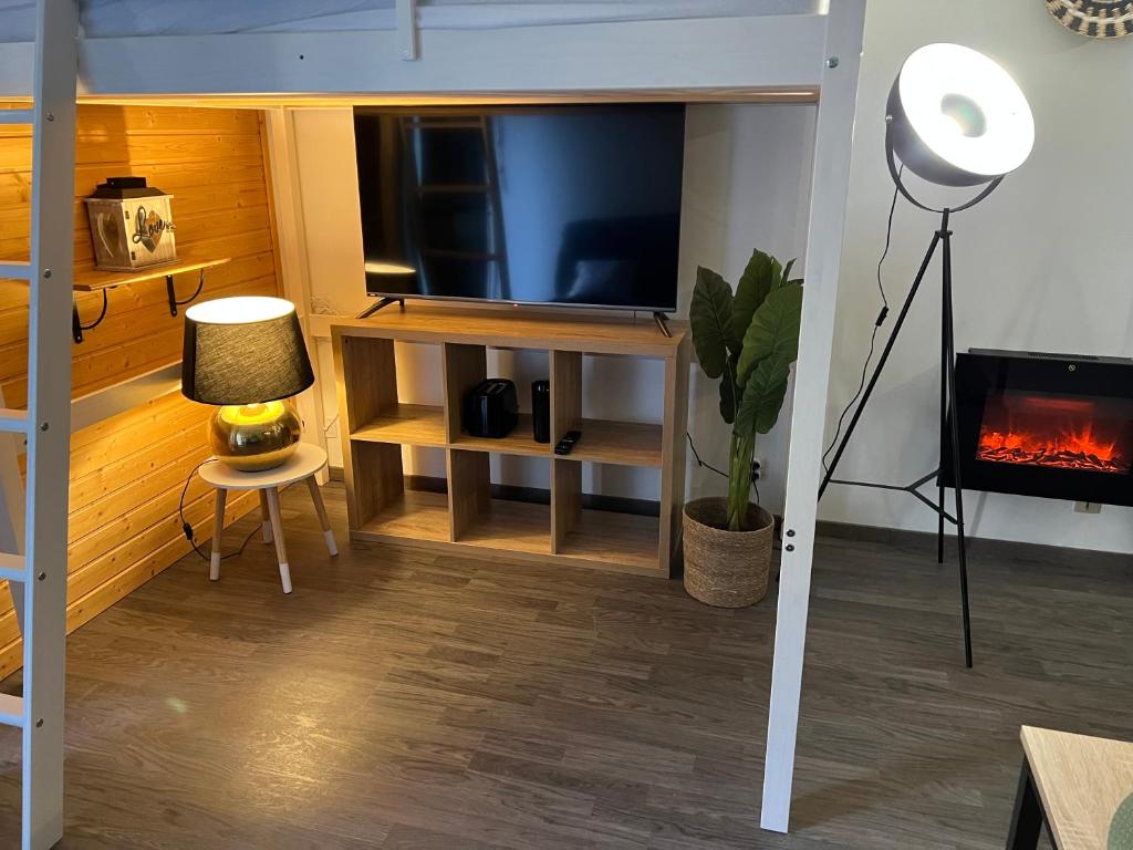 TV a/nebo společenská místnost v ubytování STUDIO LES IZARDS