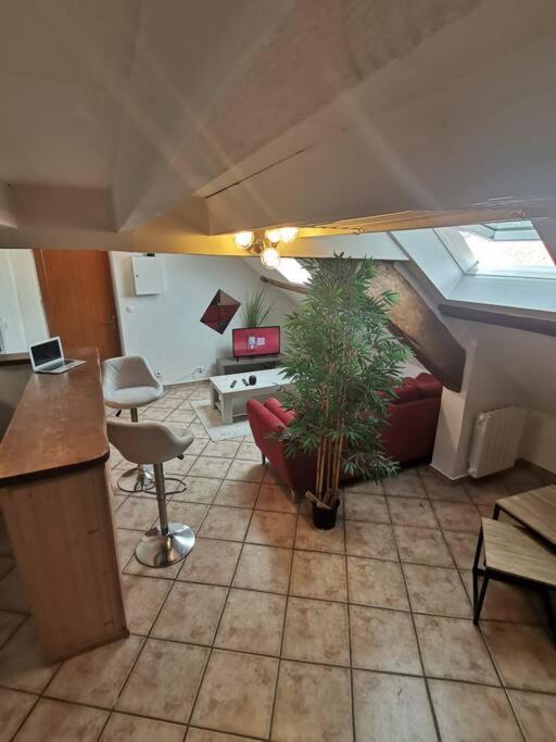 sala de estar con sofá y maceta en Appartement cozy avec mezzanine, en Souppes-sur-Loing