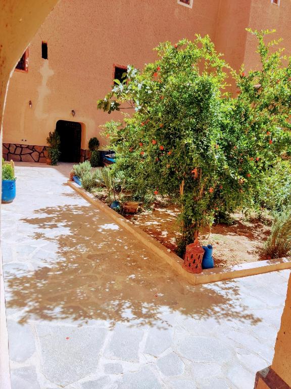 a courtyard with trees and plants in a building at La perle de saghro in Nkob