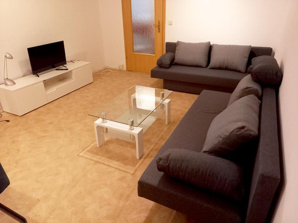 uma sala de estar com dois sofás e uma televisão em Nice Apartment in Jena em Jena