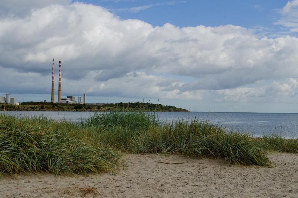 una spiaggia con vista sull'acqua e sull'erba di Beach House B&B a Dublino