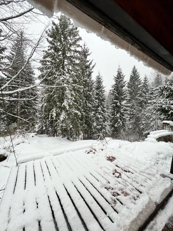 ~Chalet_Rifugio tra i boschi~ v zime