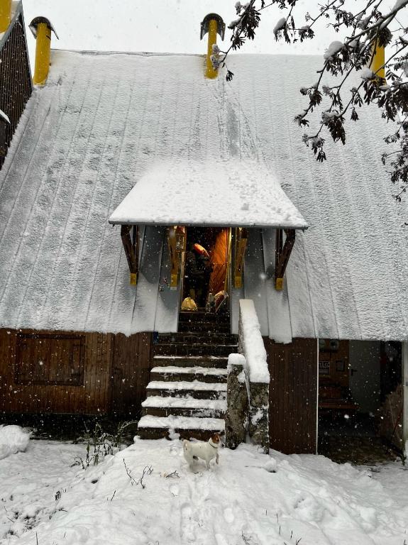 ~Chalet_Rifugio tra i boschi~ v zime
