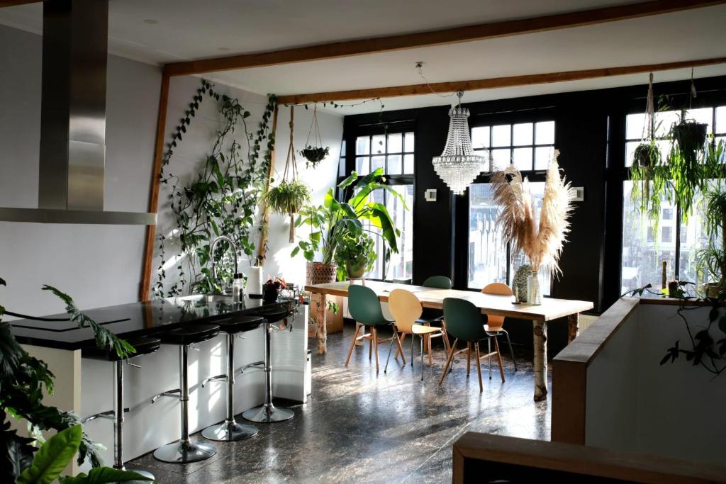 uma sala de jantar com uma mesa e algumas plantas em Stadslogement Valentijn em Sneek