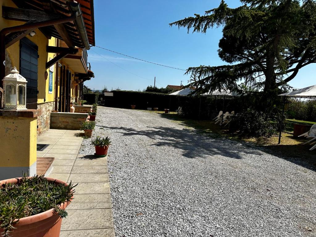Vonkajšia záhrada v ubytovaní Casa Elena