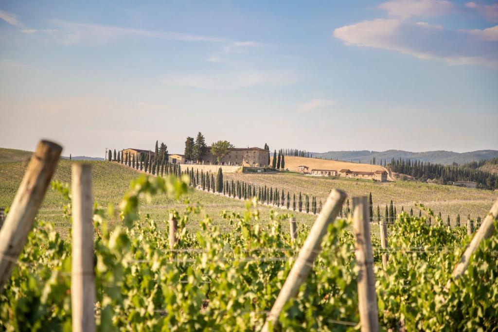 a fence in a field with a farm in the background at Agriturismo Casale Dello Sparviero in Castellina in Chianti