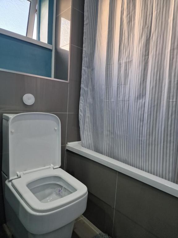 ein Bad mit einem WC und einer Dusche in der Unterkunft Stylish and Unique Bedroom In Gateshead - Close To Newcastle in Sheriff Hill