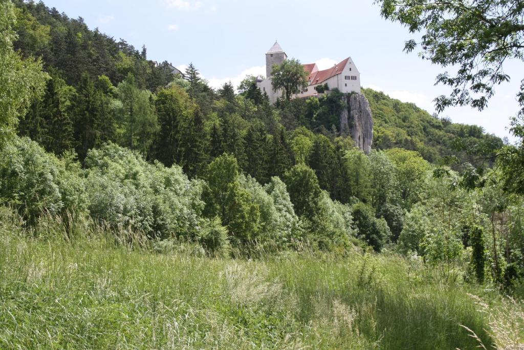 Příroda nedaleko hotelu