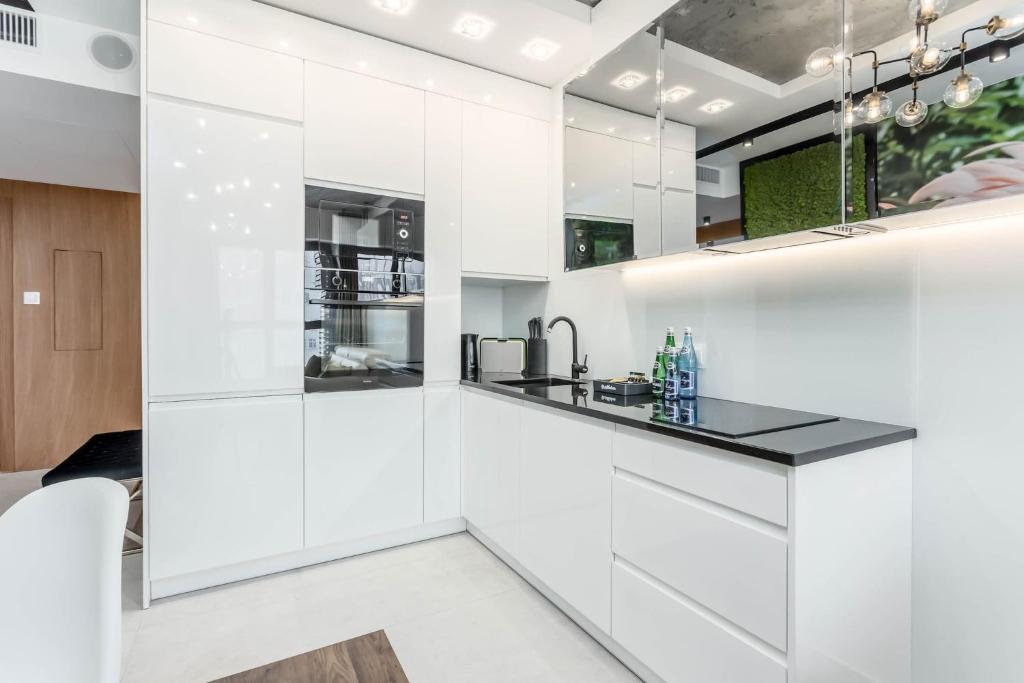 Kuchyňa alebo kuchynka v ubytovaní Rent like home - Apartamenty DEO PLAZA