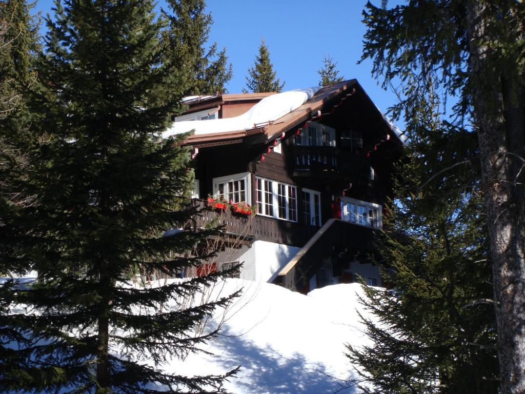dom w śniegu z drzewami w obiekcie Chalet Baur w mieście Arosa