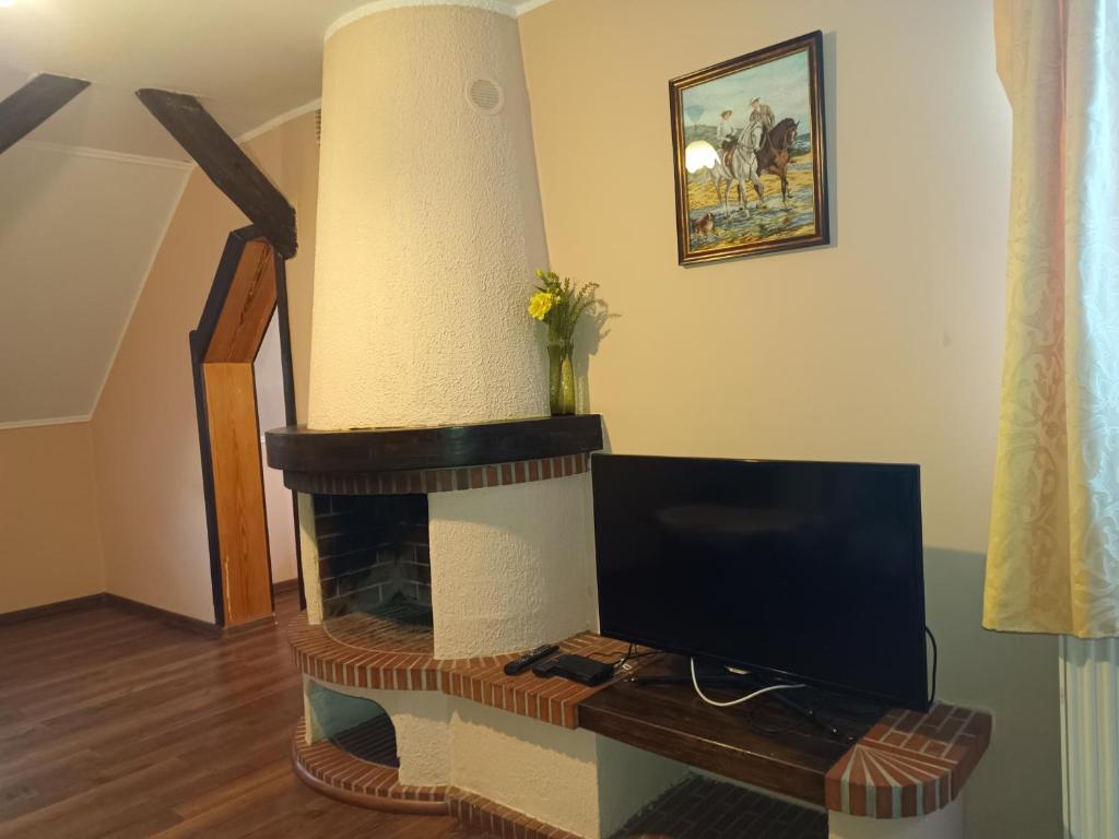 TV a/nebo společenská místnost v ubytování Pensjonat Wiking