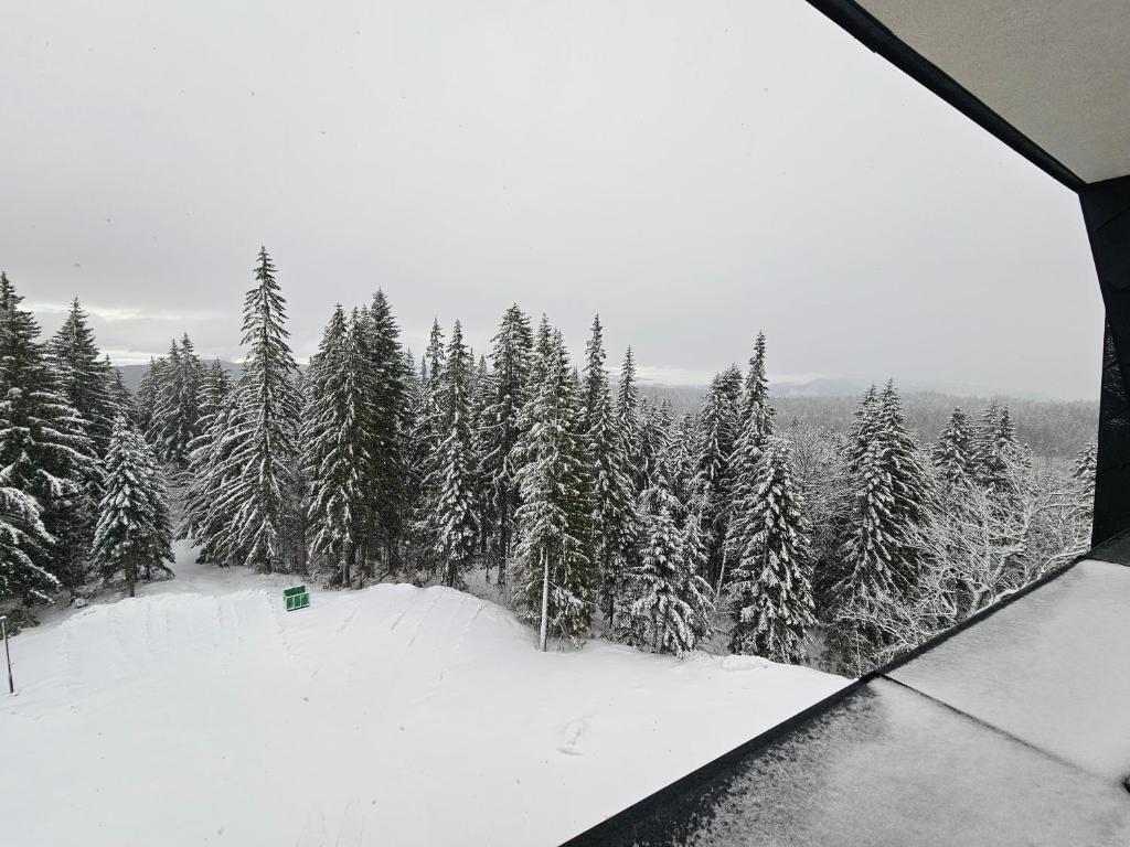 Zlatni Javor, Apartment 408 v zimě