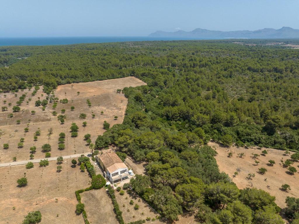 uma vista aérea de um grande campo com árvores em Finca Son Baulo em Santa Margalida