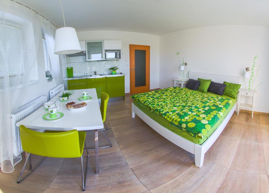 Kuchyň nebo kuchyňský kout v ubytování Apartment Zelená zahrada